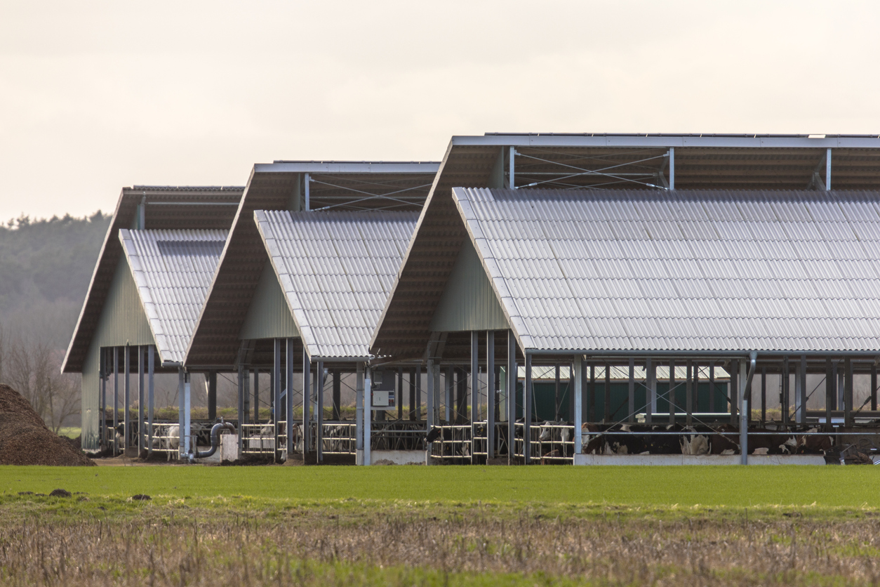 Bâtiment agricole respectant la norme électrique